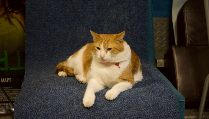 Euro Cinema - "Бунтарят"