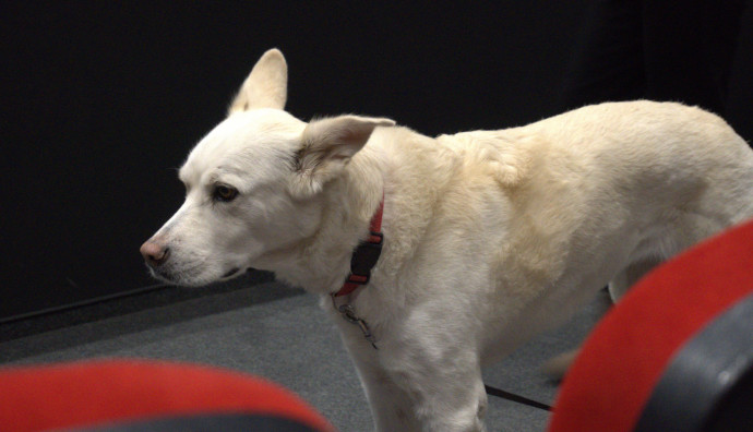 Кино Одеон - "Млечни зъби"