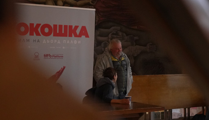 Cinema house - "A Safe Place"