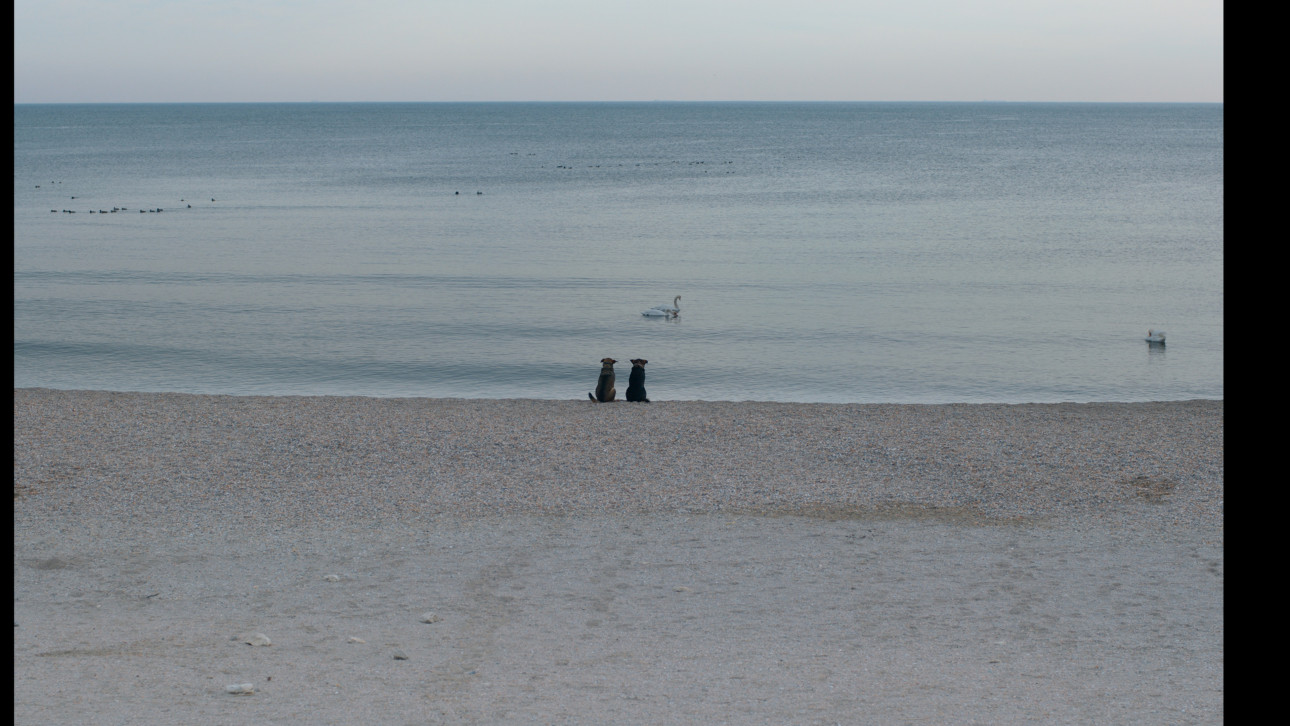 НЕ МЕ ОСТАВЯЙ ДА УМРА