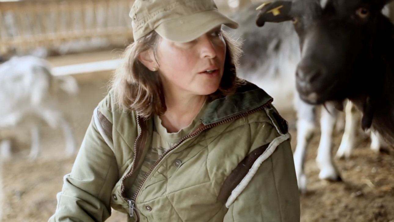 A FEW CHUNKS OF CHEESE