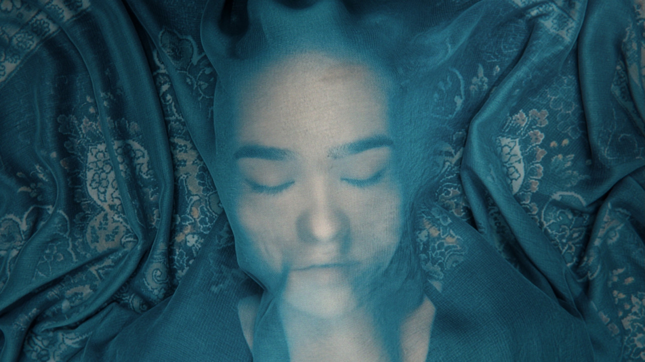 A FOX UNDER A PINK MOON