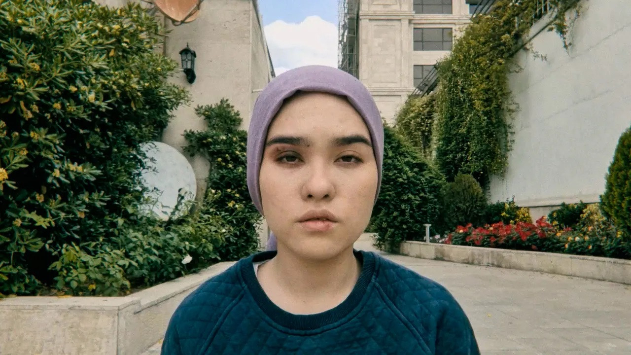 A FOX UNDER A PINK MOON