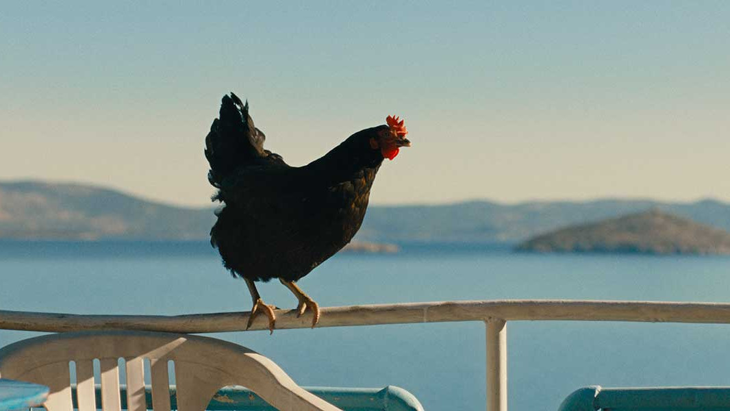 Унгарският режисьор Дьорд Палфи ще бъде начело на Международното жури на 30-ия София Филм Фест