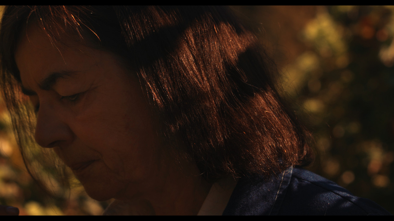 ХЪЛМОВЕТЕ НА ГНЕВА