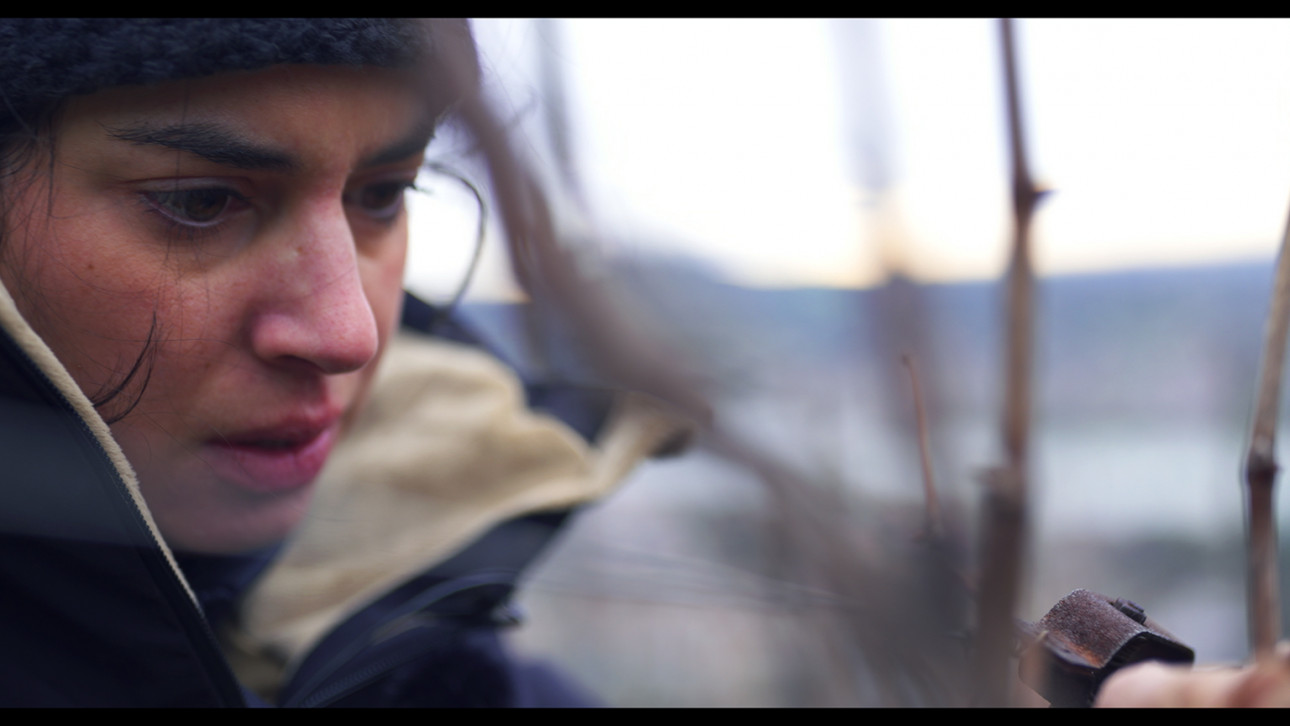 ХЪЛМОВЕТЕ НА ГНЕВА