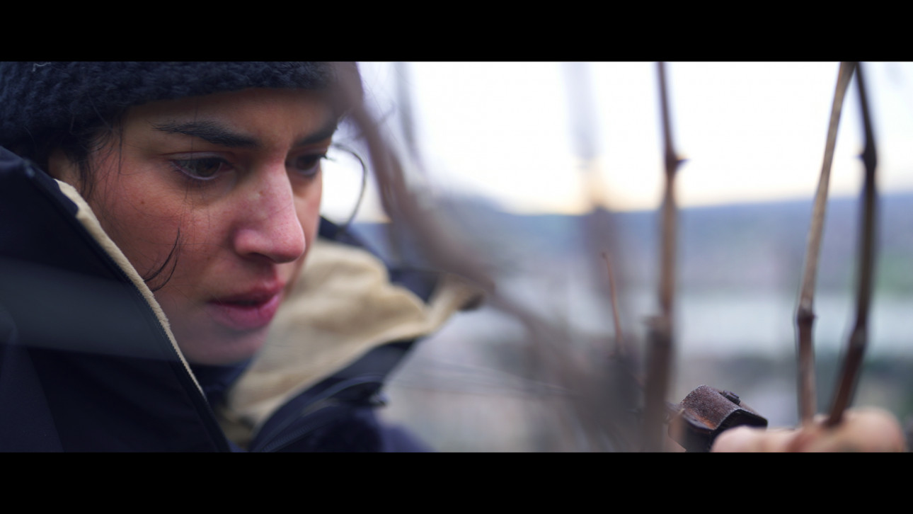 ХЪЛМОВЕТЕ НА ГНЕВА