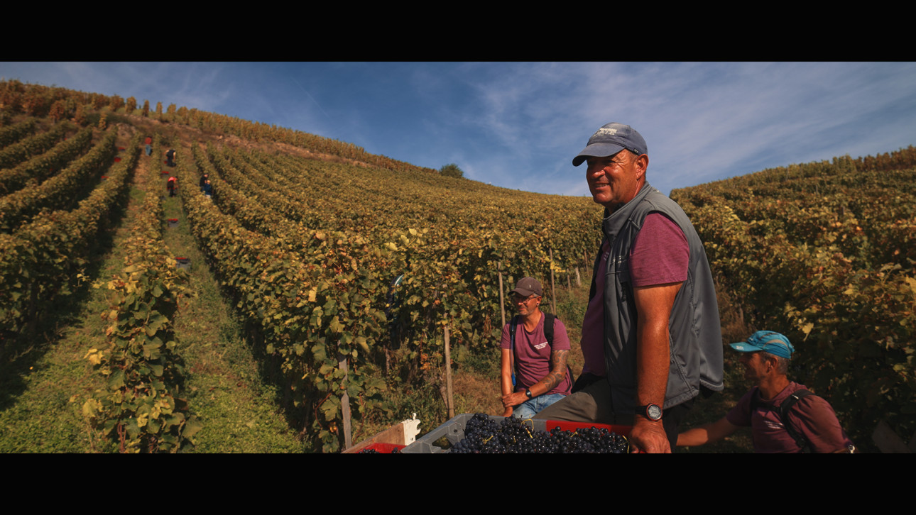 ХЪЛМОВЕТЕ НА ГНЕВА