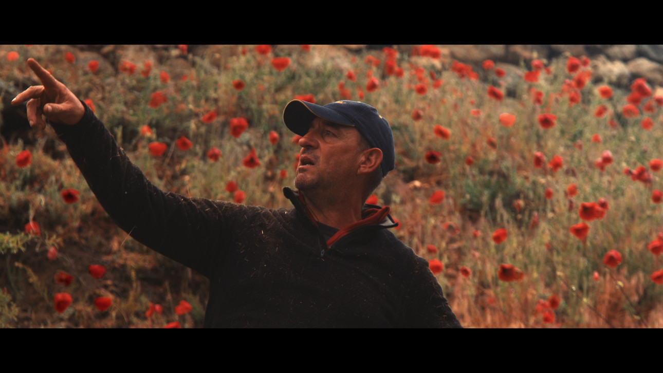 ХЪЛМОВЕТЕ НА ГНЕВА