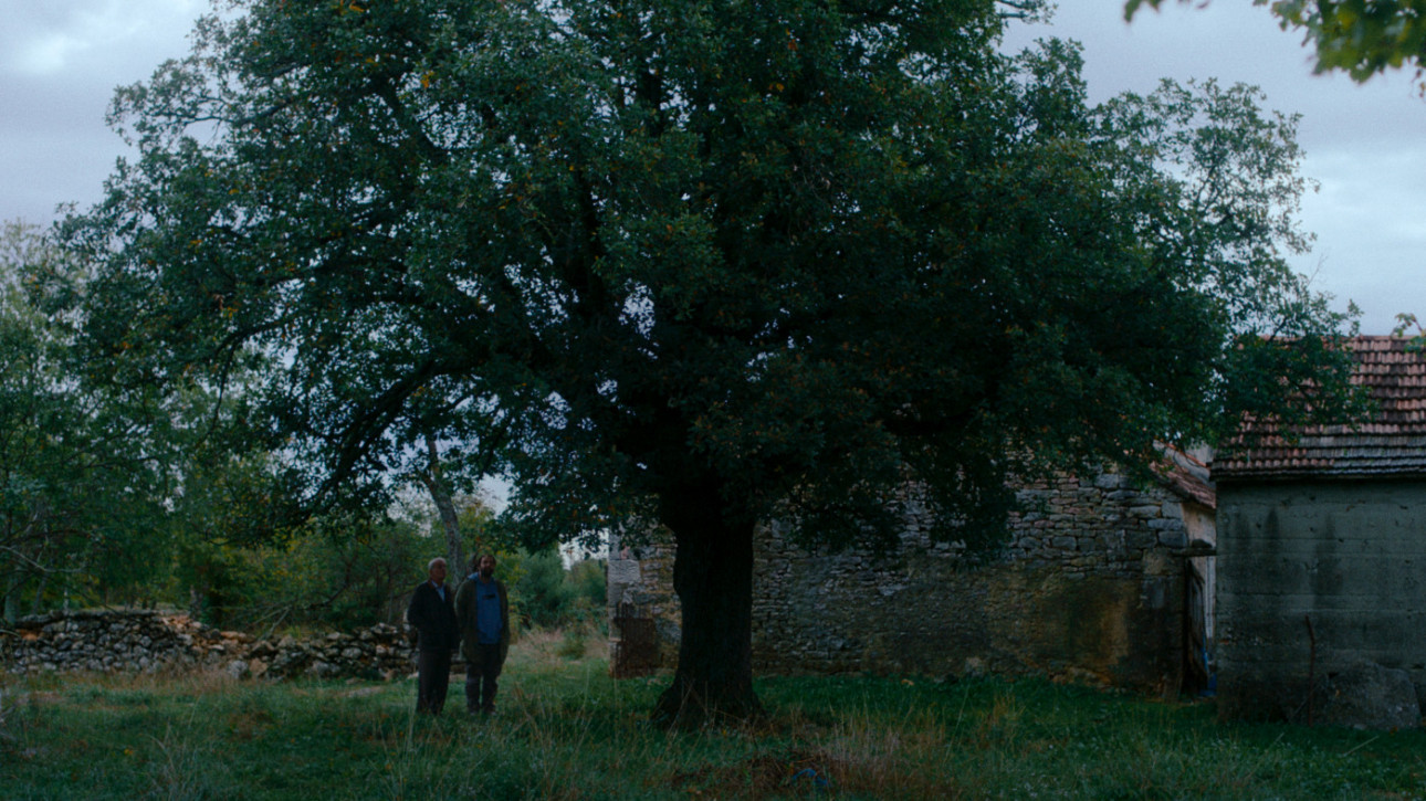 КАК ТАКА ВСИЧКО СТАНА ЗЕЛЕНО?