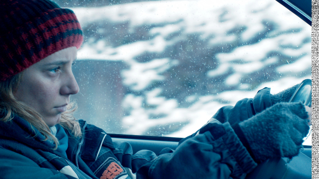 ПОСЛЕДНАТА ПЛЕСНИЦА