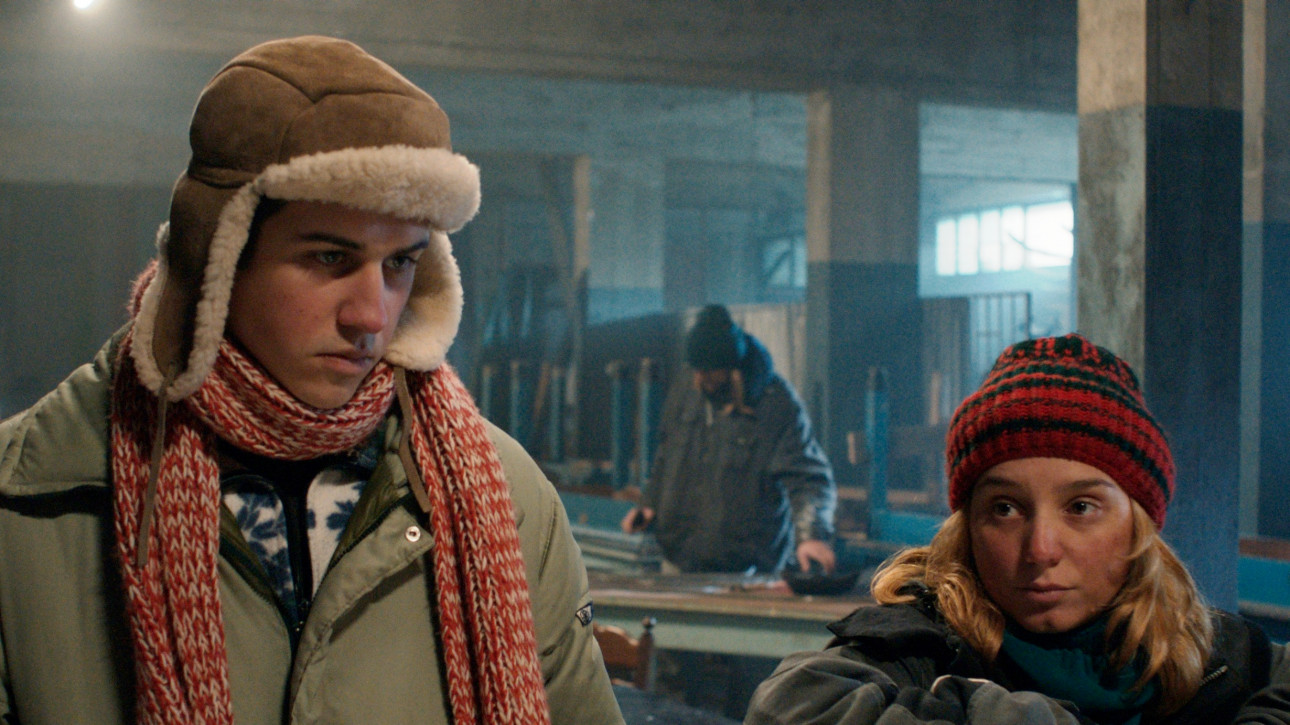 ПОСЛЕДНАТА ПЛЕСНИЦА