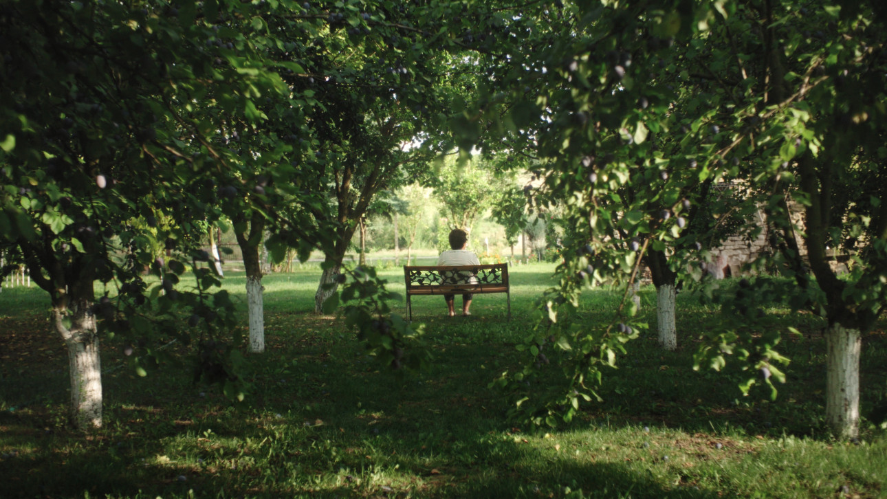 NO WAY TO SAY GOODBYE