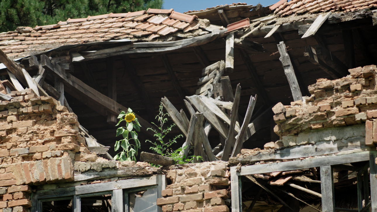 NO WAY TO SAY GOODBYE