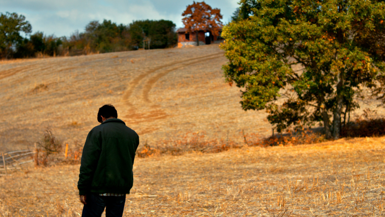 ДИВАТА КРУША