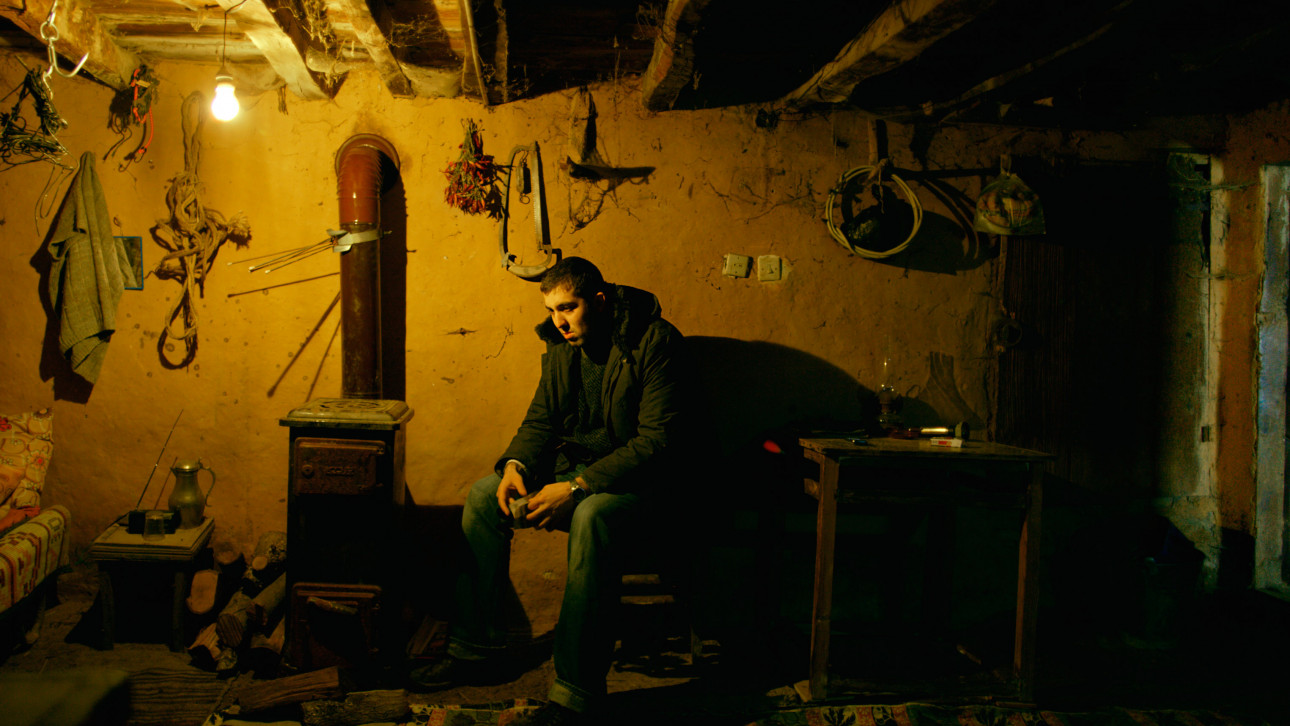 ДИВАТА КРУША