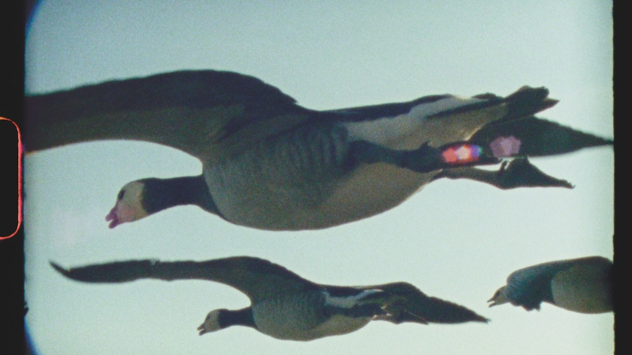 СУПЕР ПРИРОДА