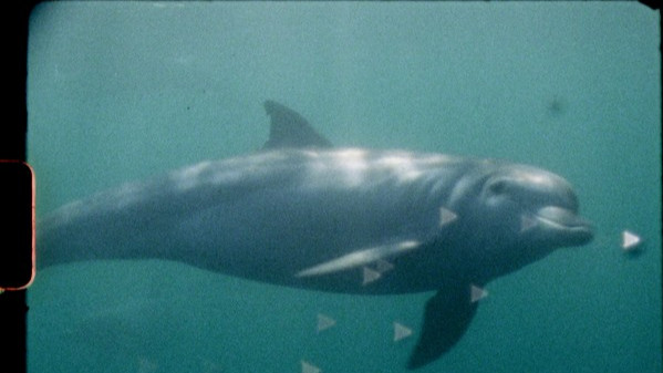 СУПЕР ПРИРОДА