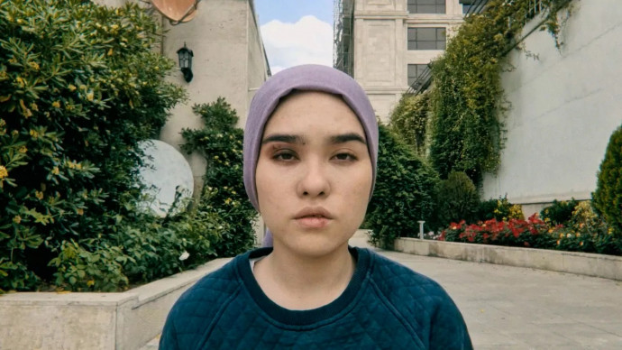 ЛИСИЦА ПОД РОЗОВА ЛУНА