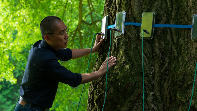 СФФ Природа – с „Мълчаливият приятел“ на Илдико Енеди, номиниран за „Златен лъв“, и „Магията на гората“ на Венсан Мюние