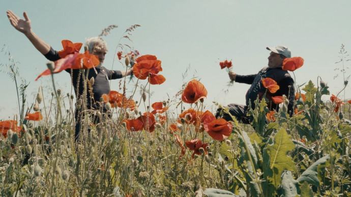 ДОБРЕ ДОШЛИ В СИНАГОВЦИ