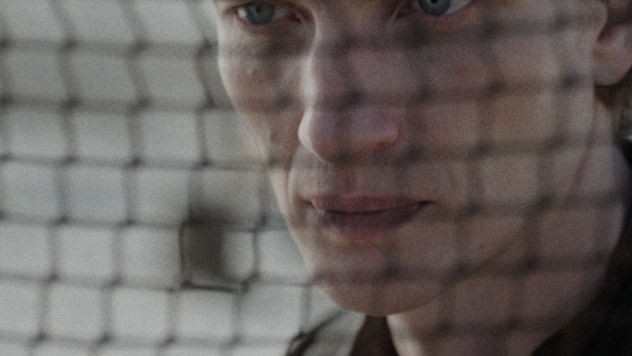 ПРОЦЕСЪТ НА ХАЙН