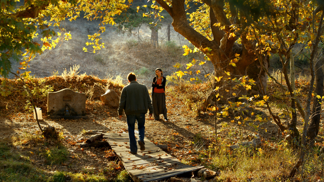 ДИВАТА КРУША