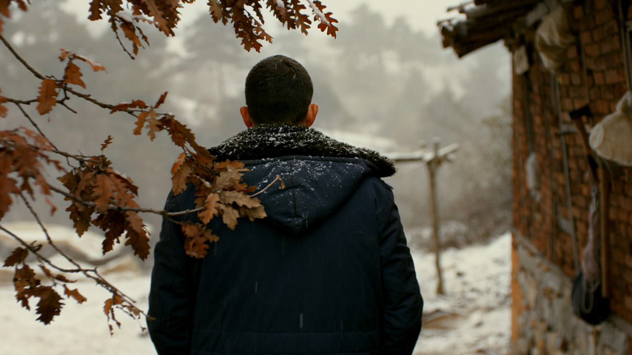 ДИВАТА КРУША