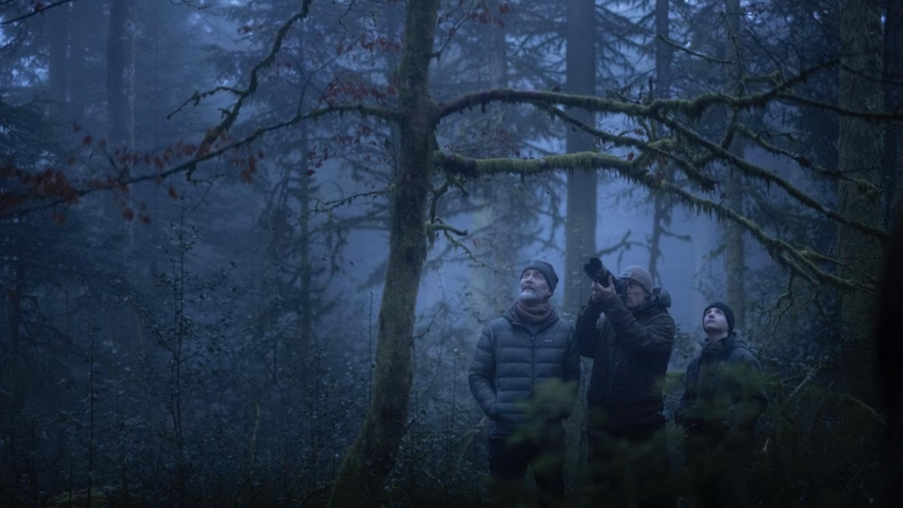 СФФ Природа – с „Мълчаливият приятел“ на Илдико Енеди, номиниран за „Златен лъв“, и „Магията на гората“ на Венсан Мюние